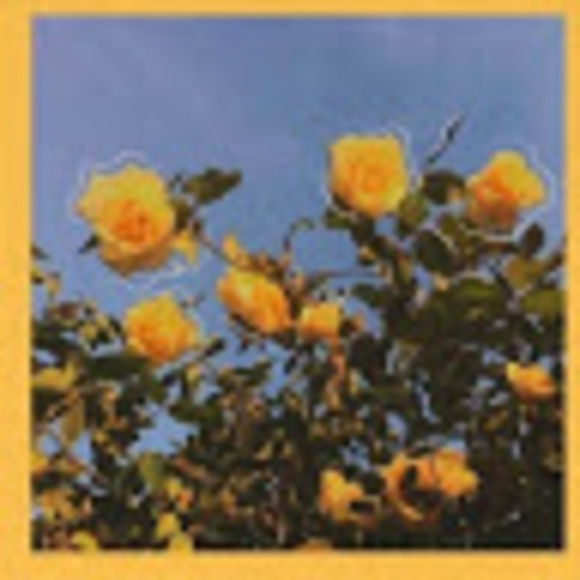 Meet your Posher, Allison - Picture 1 of 1